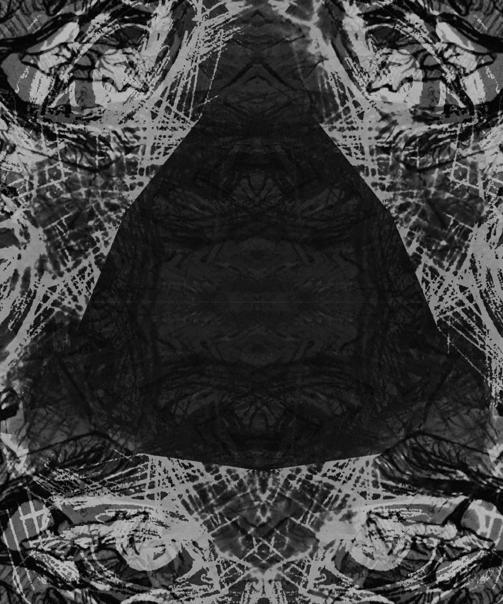 Ventricular Lotus Meditation