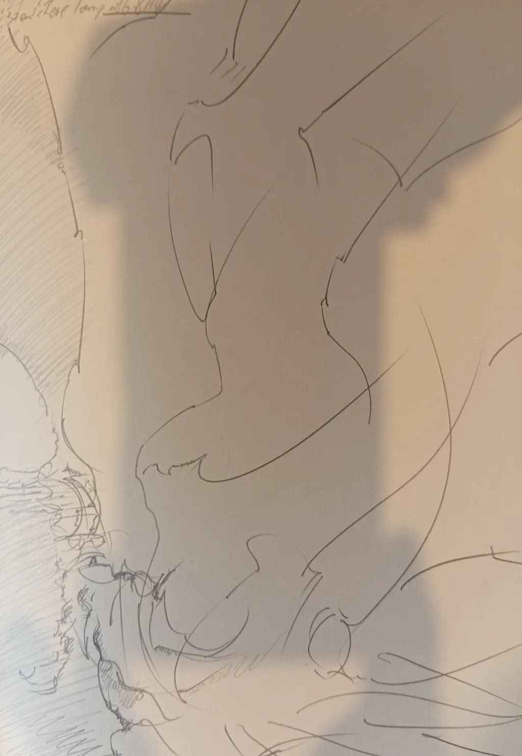 Winged Outline