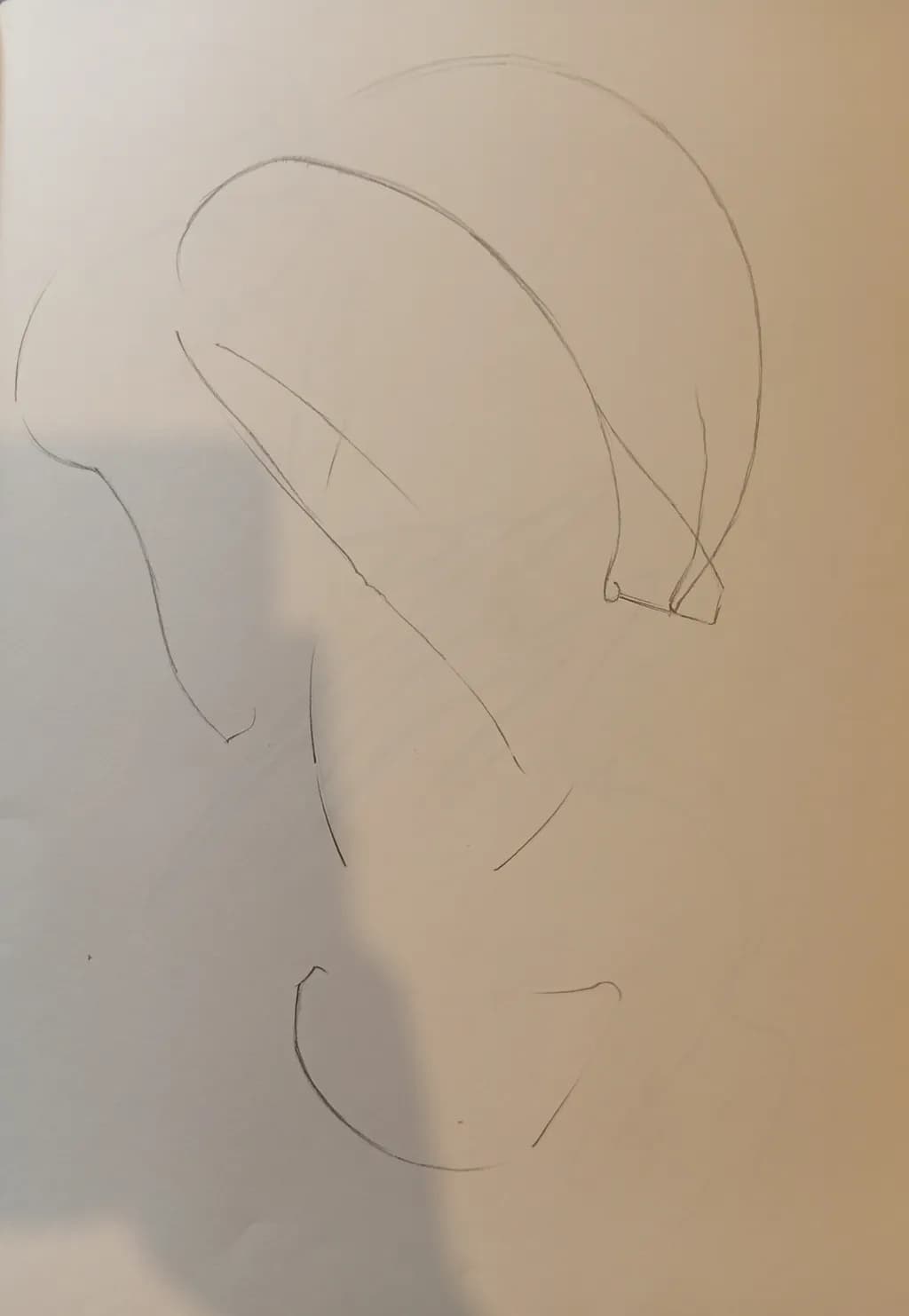 Minimalist Contours