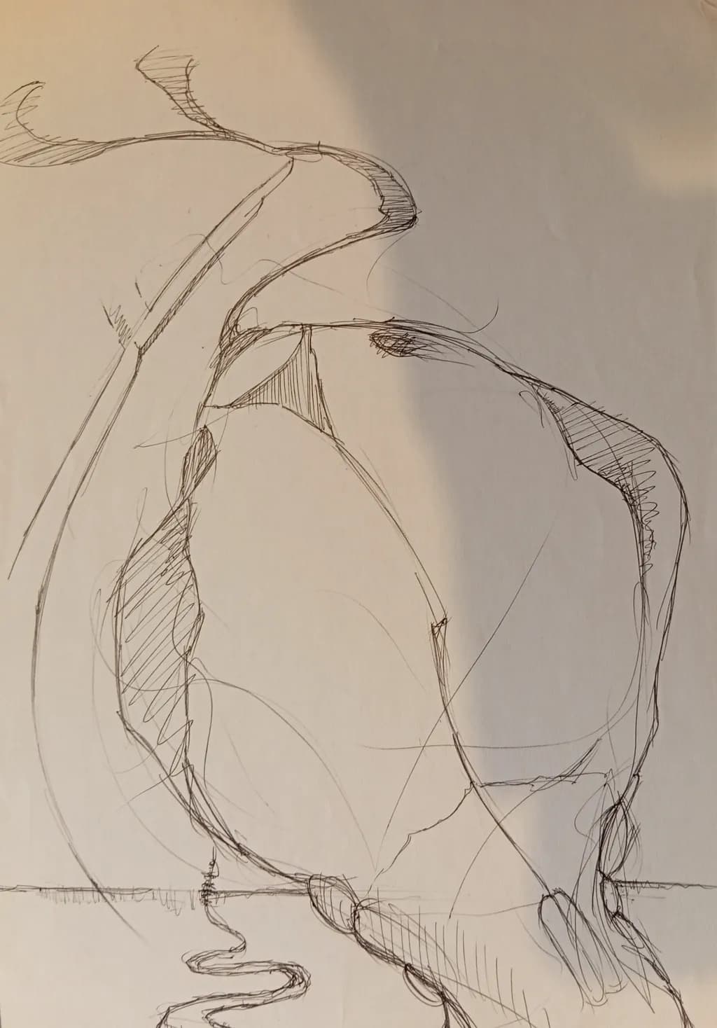 Abstract Contours