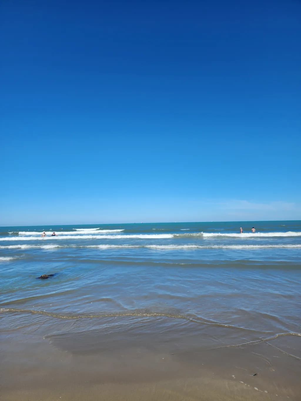 Ocean Horizon