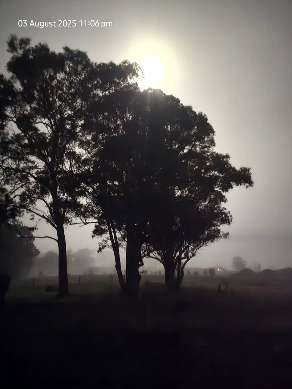 Silhouetted Glow