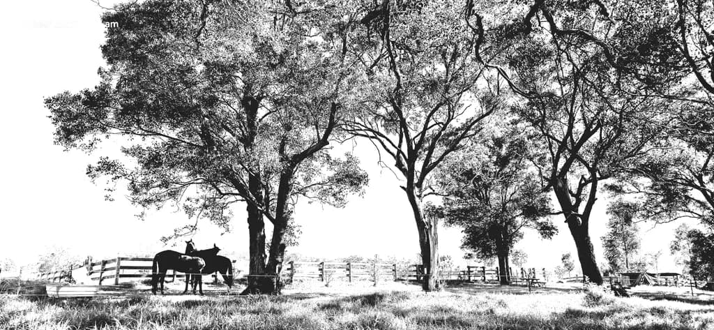 Pastoral Silhouettes