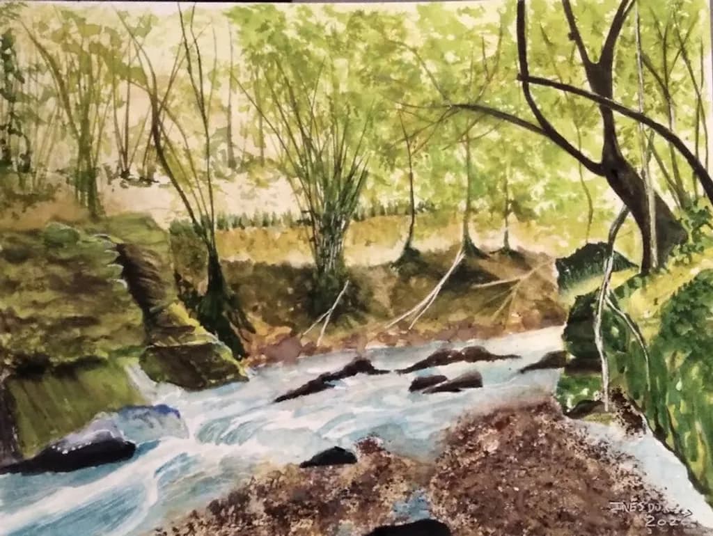 Dark Forest Stream
