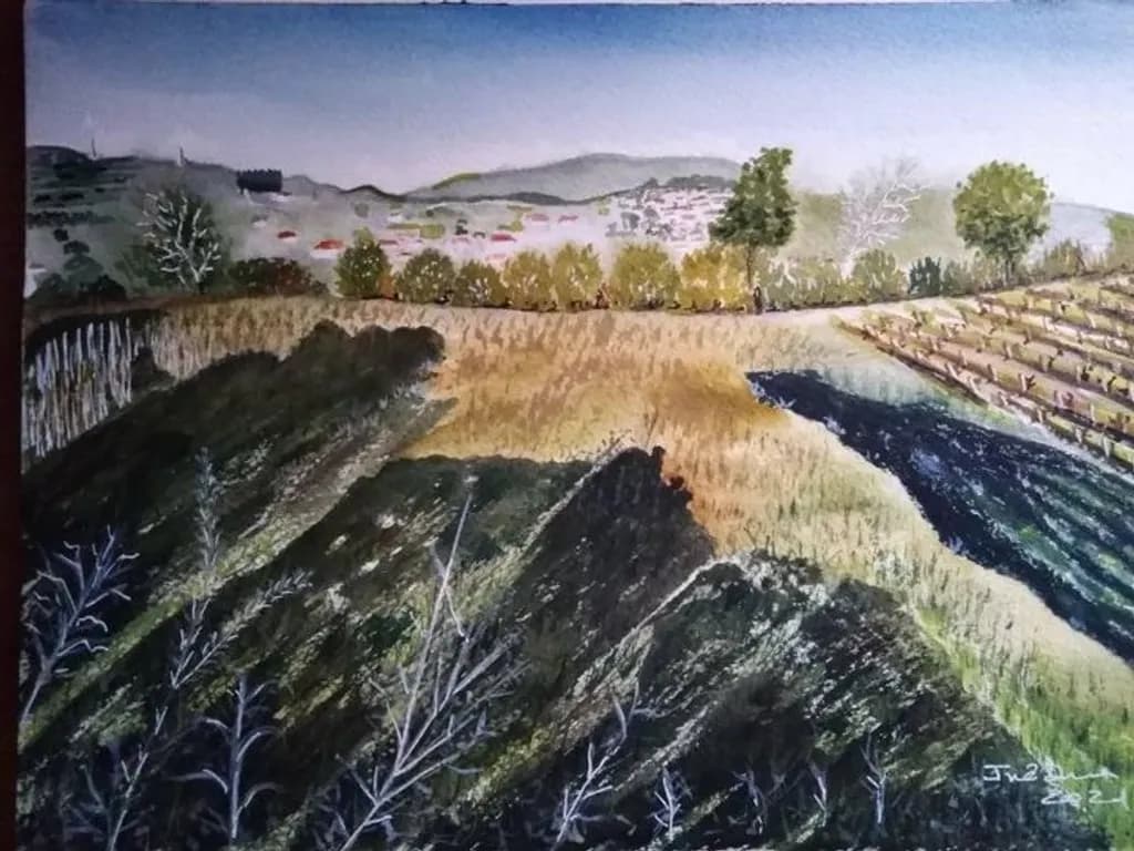 Sunlit Valley Shadows