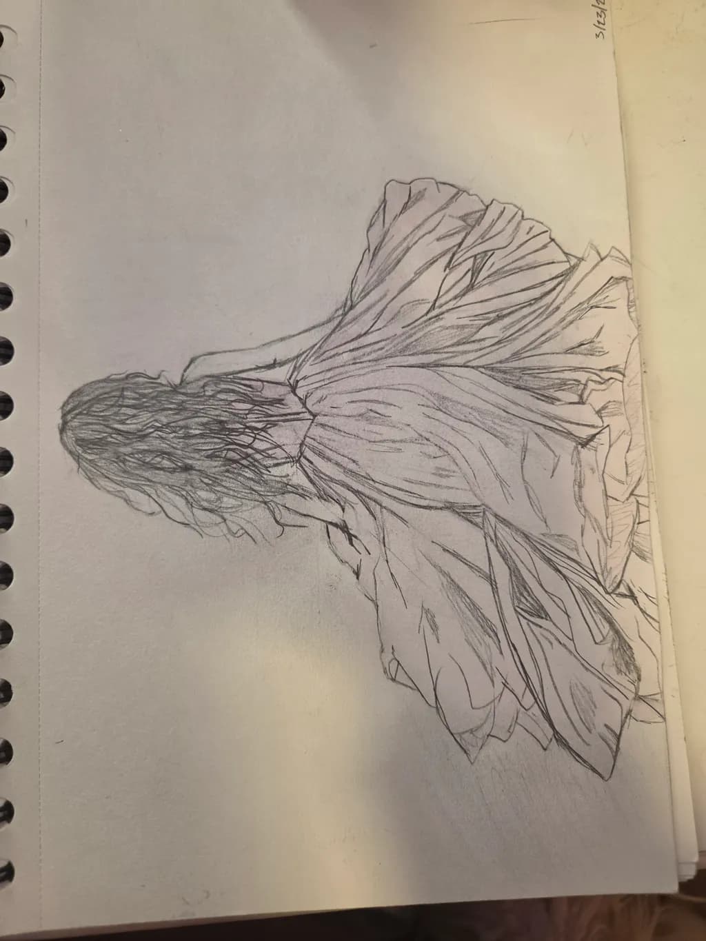 Flowing Silhouette