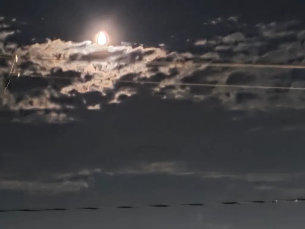 Moonlit Veil