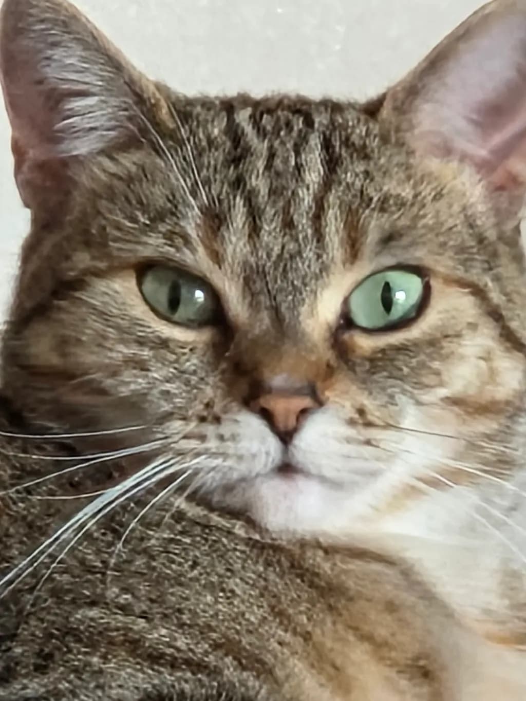 Green Gaze