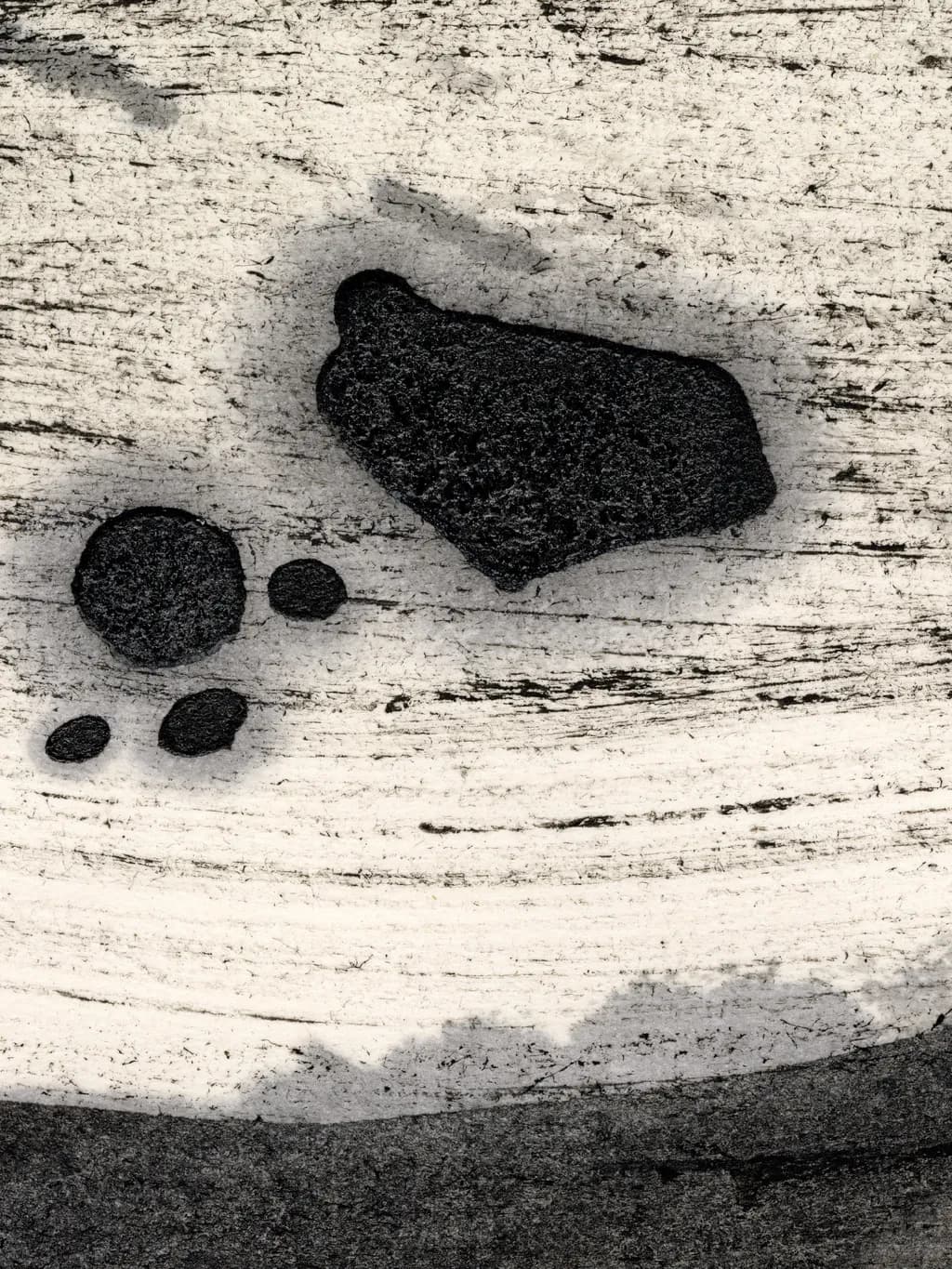 Abstract Textured Contrast