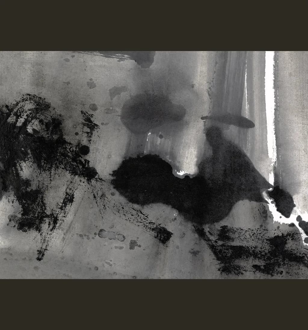Monochrome Brushstrokes