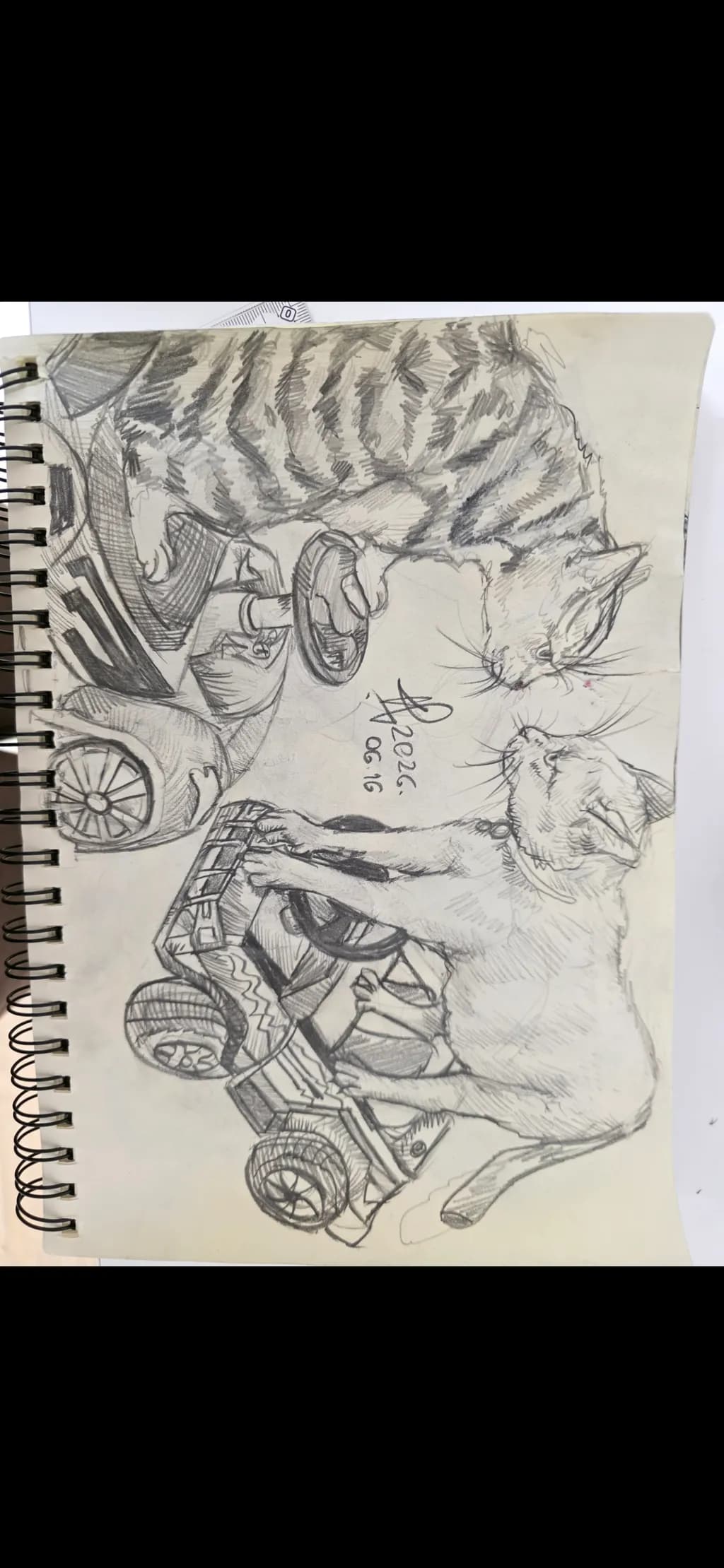 Cat Kart Encounter