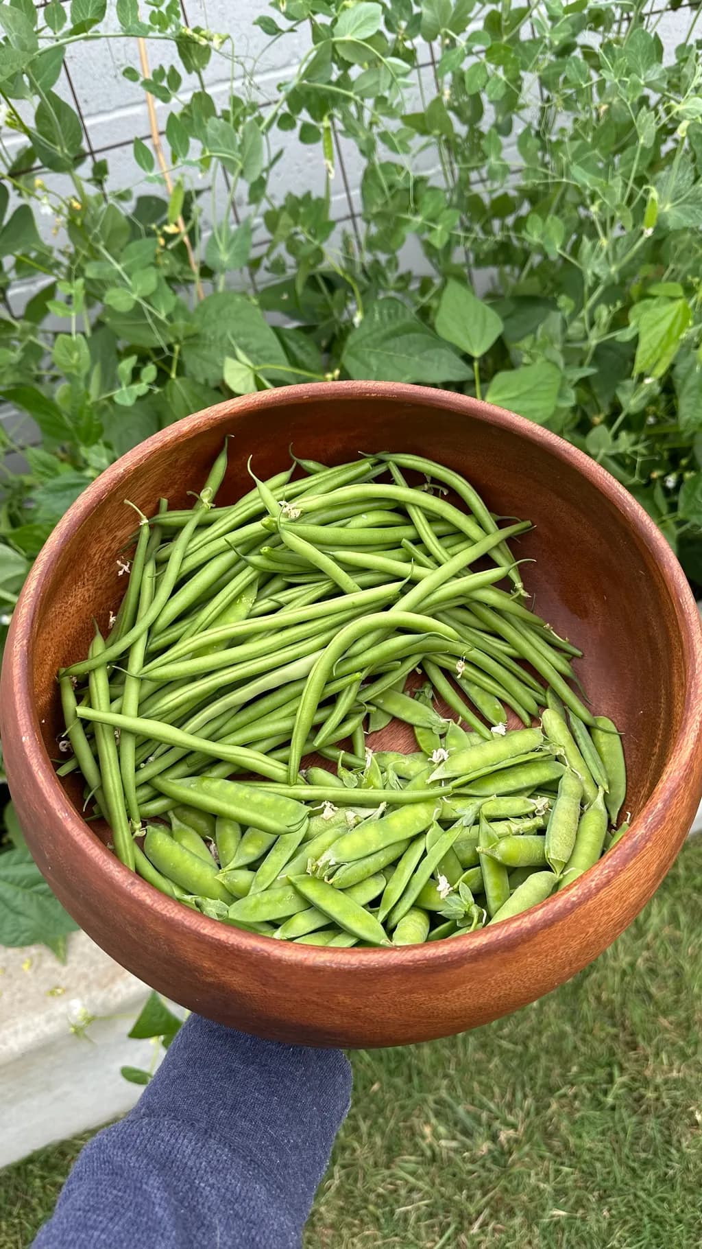 Garden Harvest Bowl