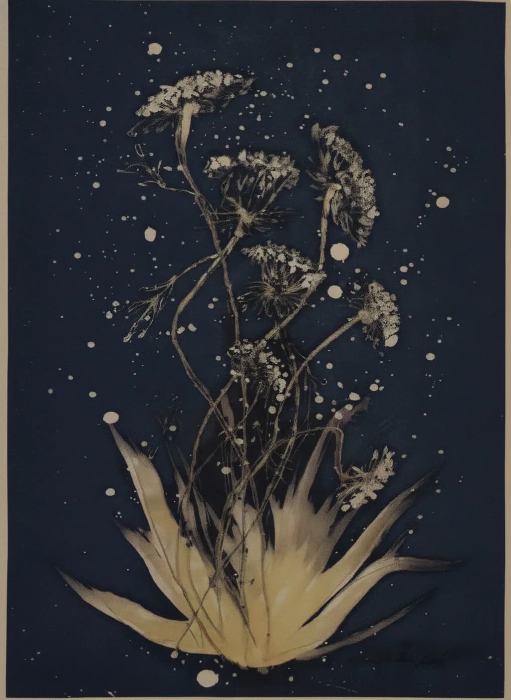 Celestial Blooms