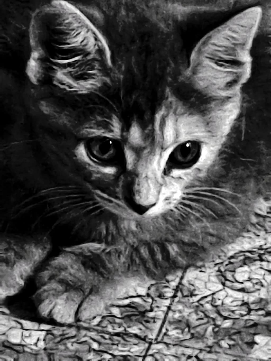 Focused Gaze
