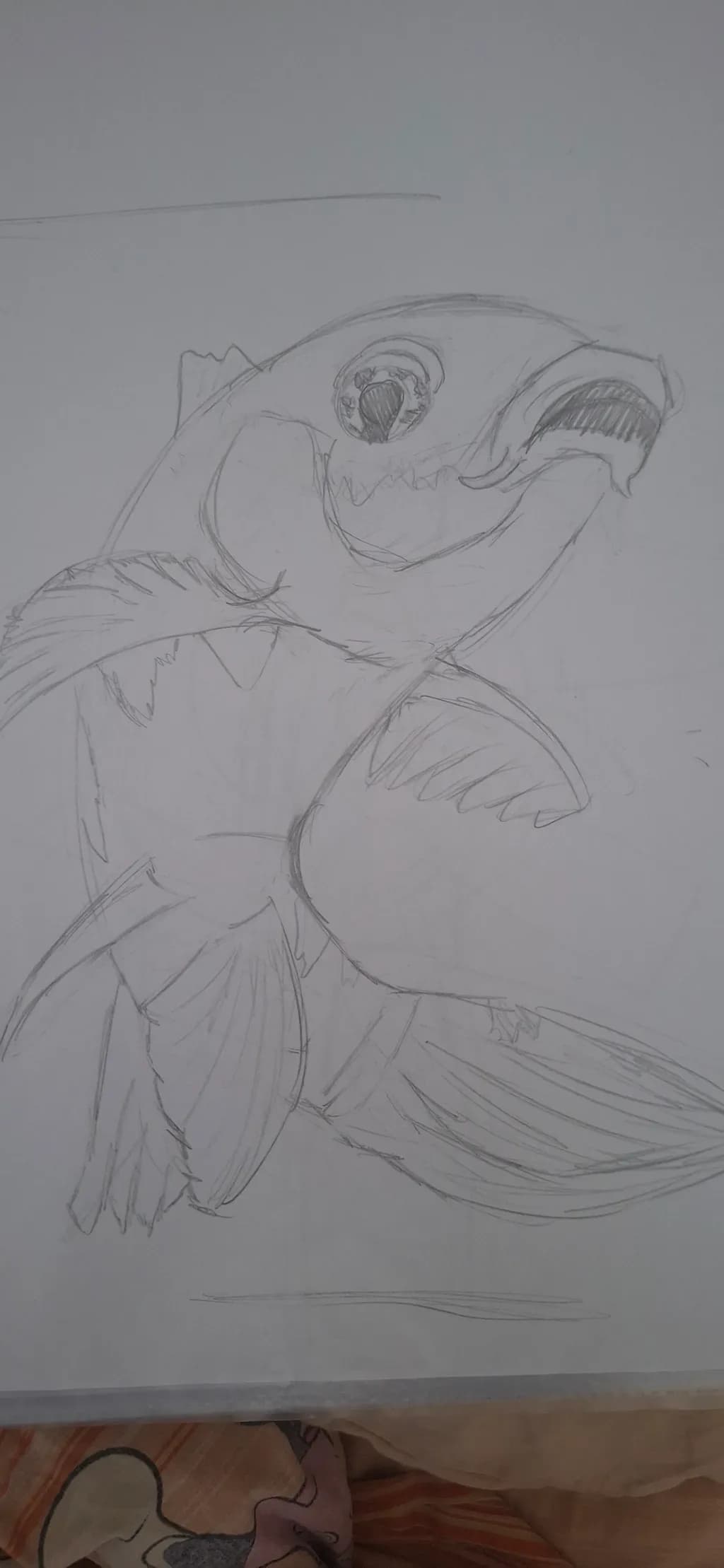 Sketch of a Fish