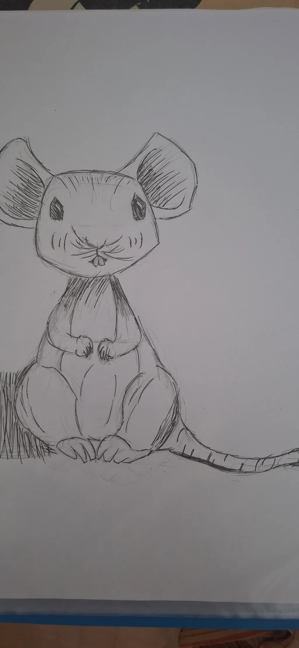 Curious Mouse