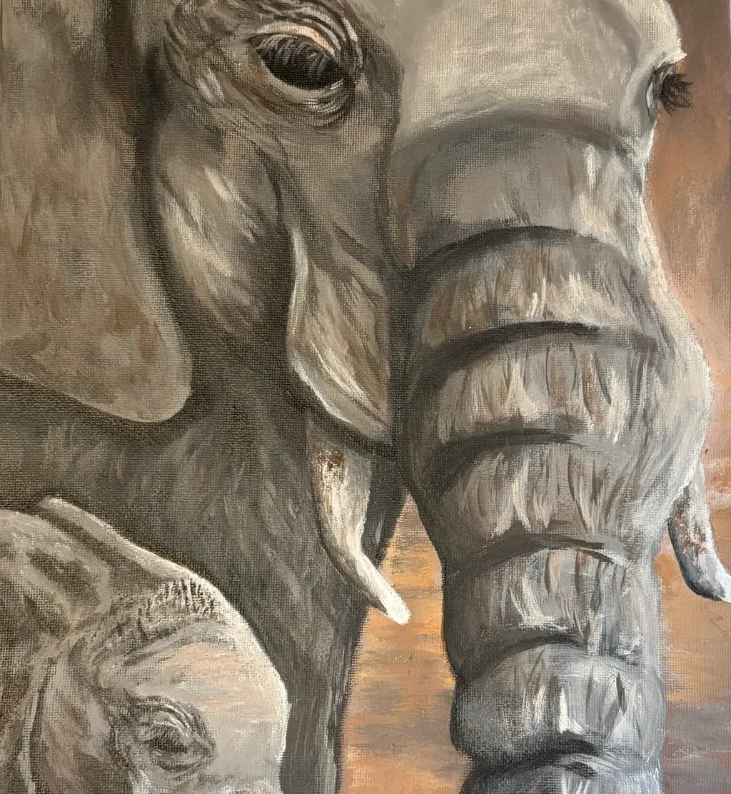 Elephant Gaze