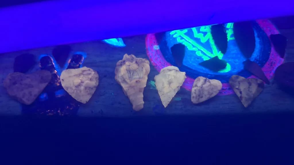Blue Light Shells