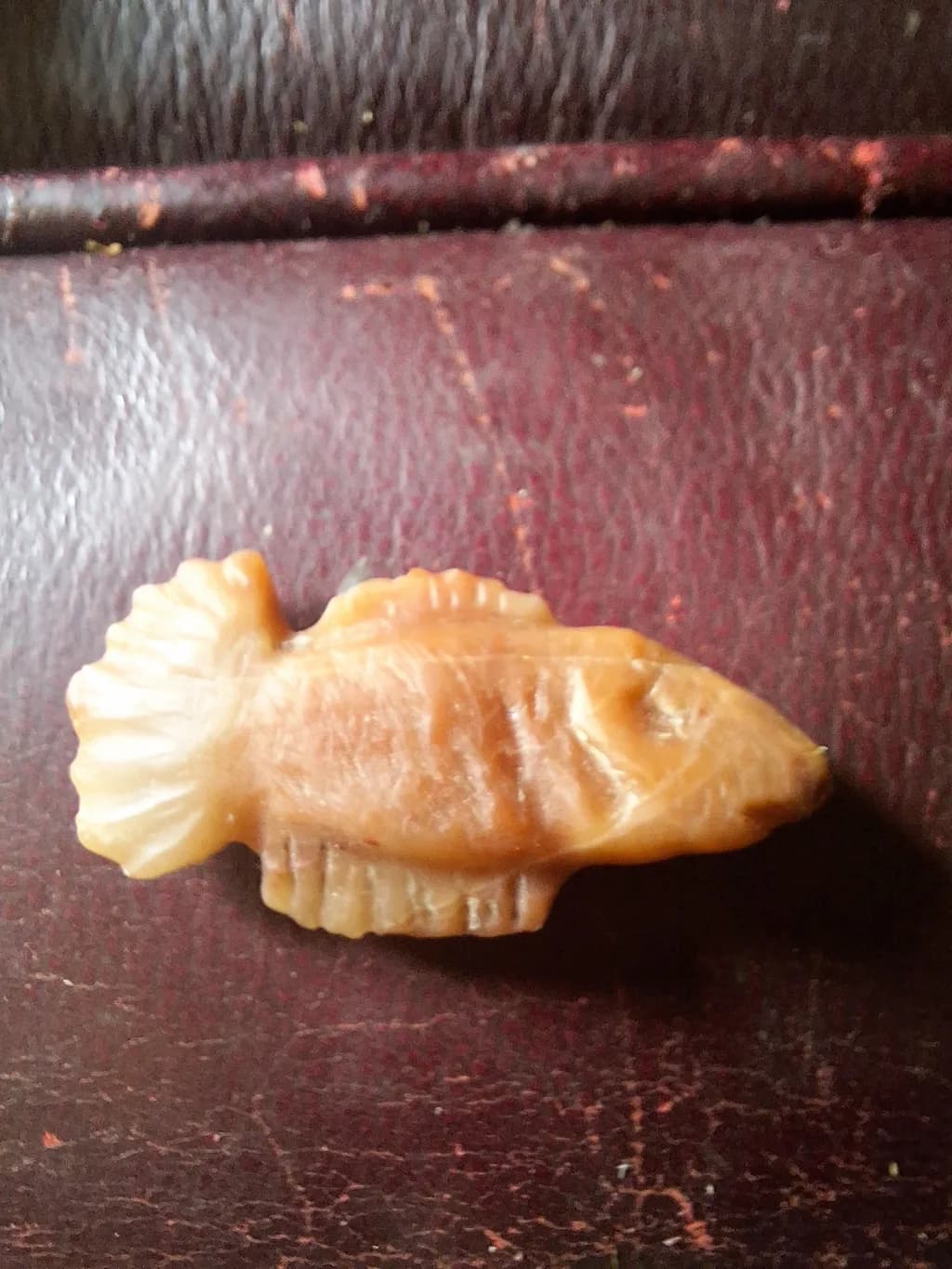 Amber Fish Relic
