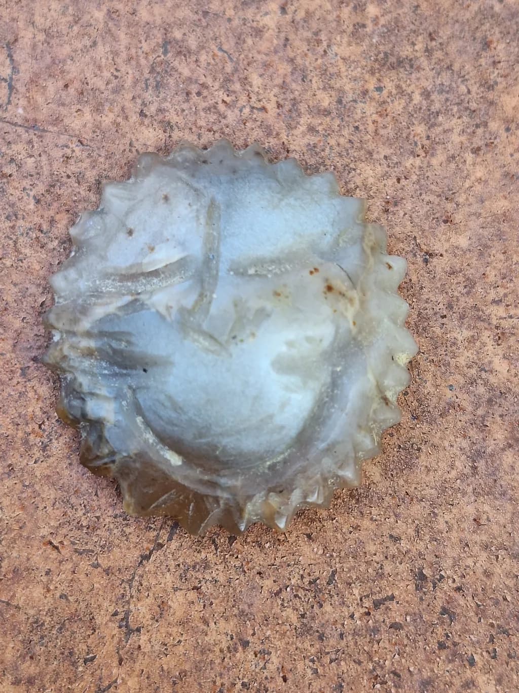 Weathered Shell Relic