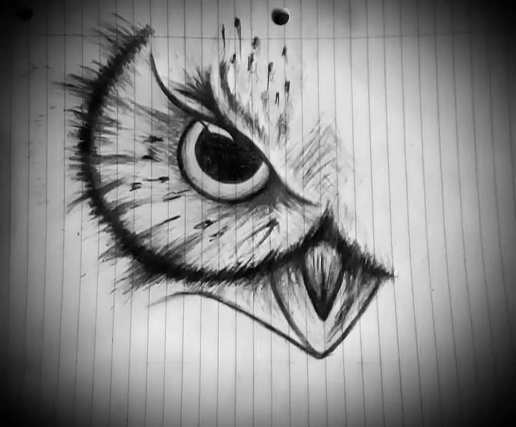 Focused Gaze