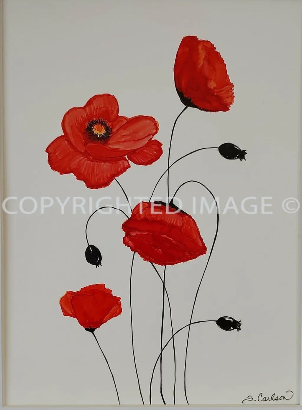 Scarlet Poppies