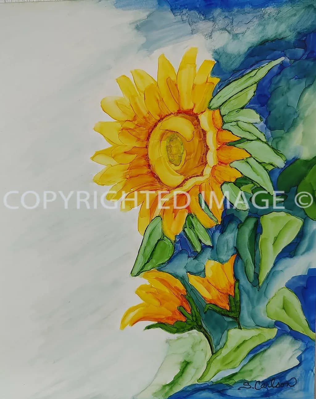 Sunlit Bloom