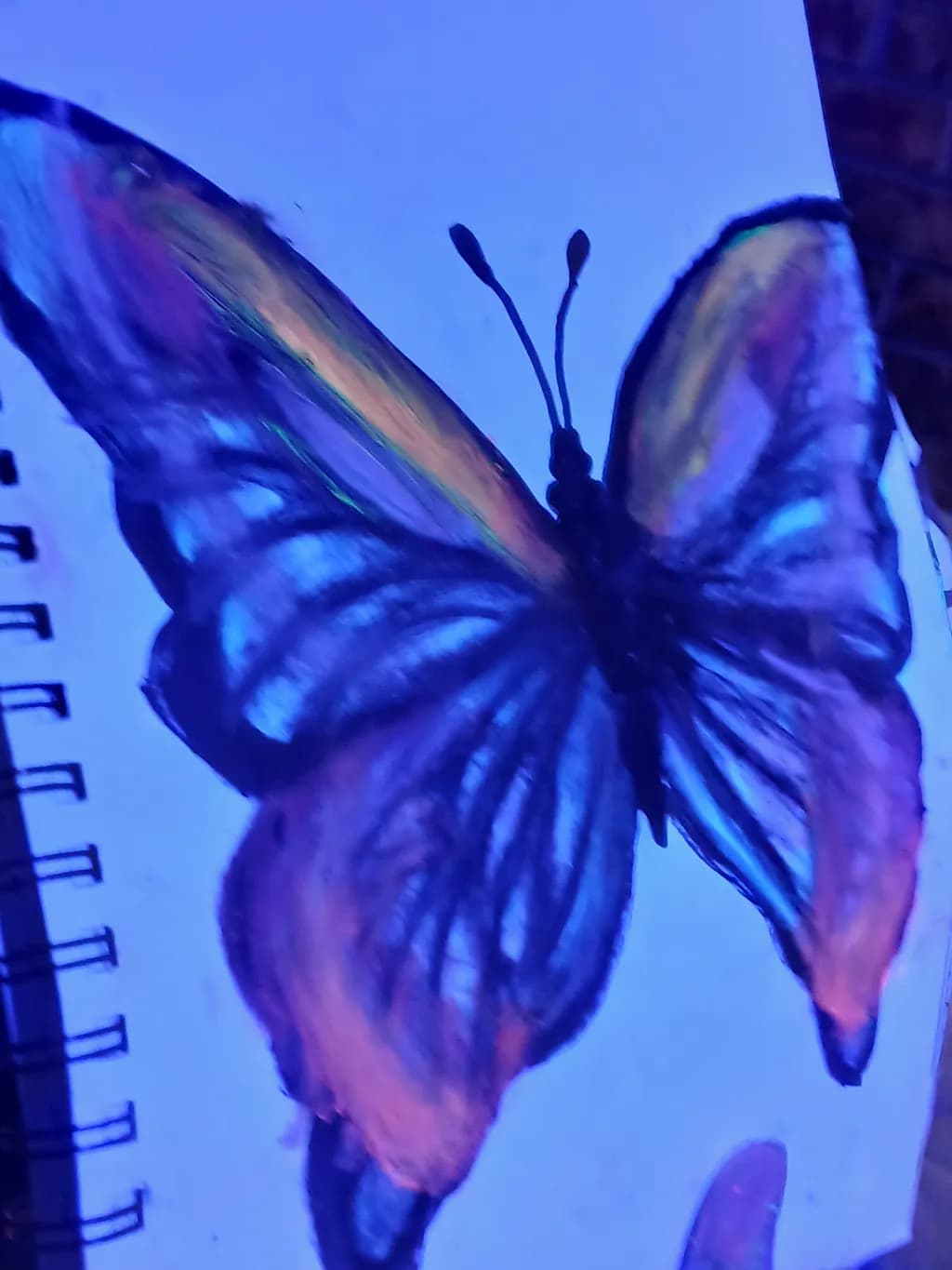 Nocturne Butterfly
