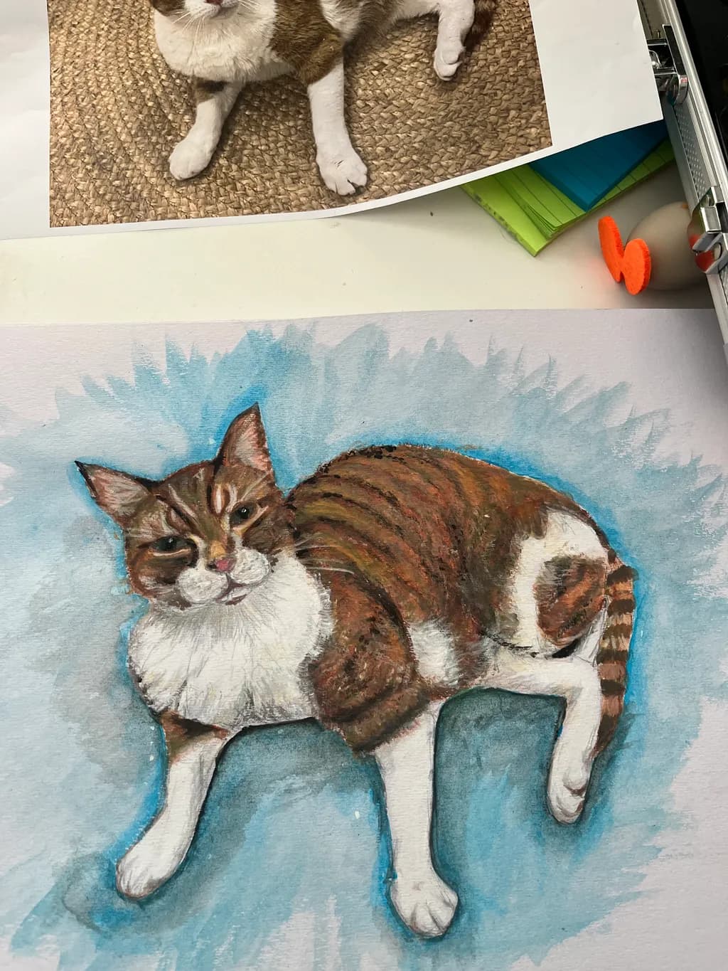 Resting Tabby