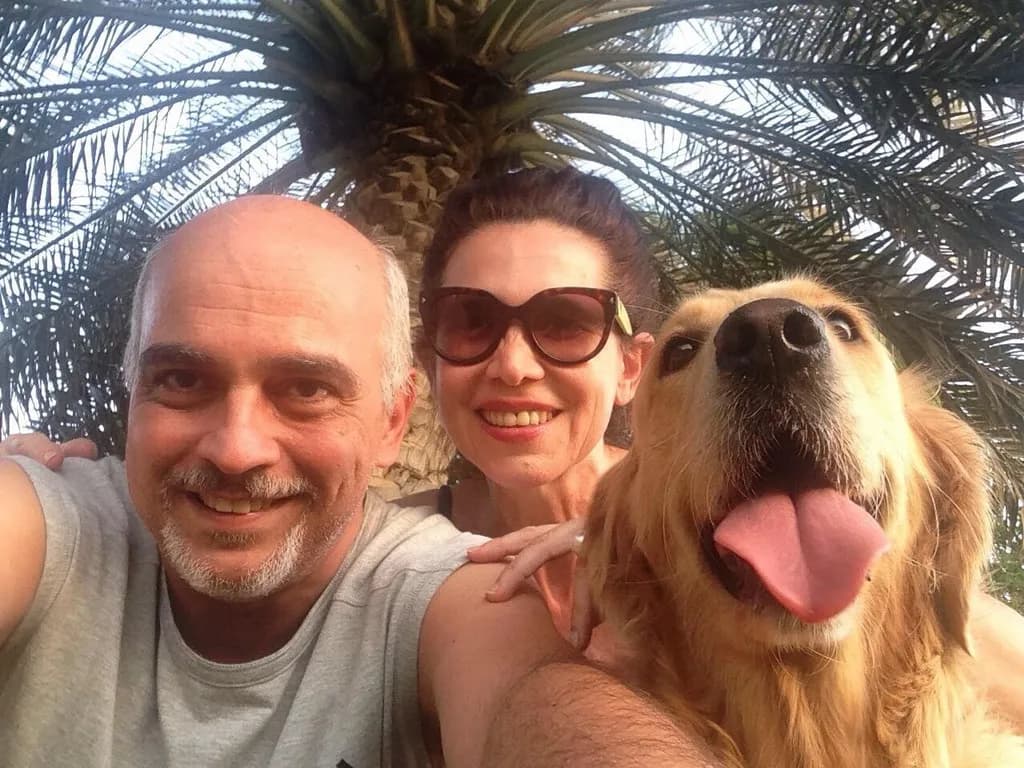 Sunny Companions