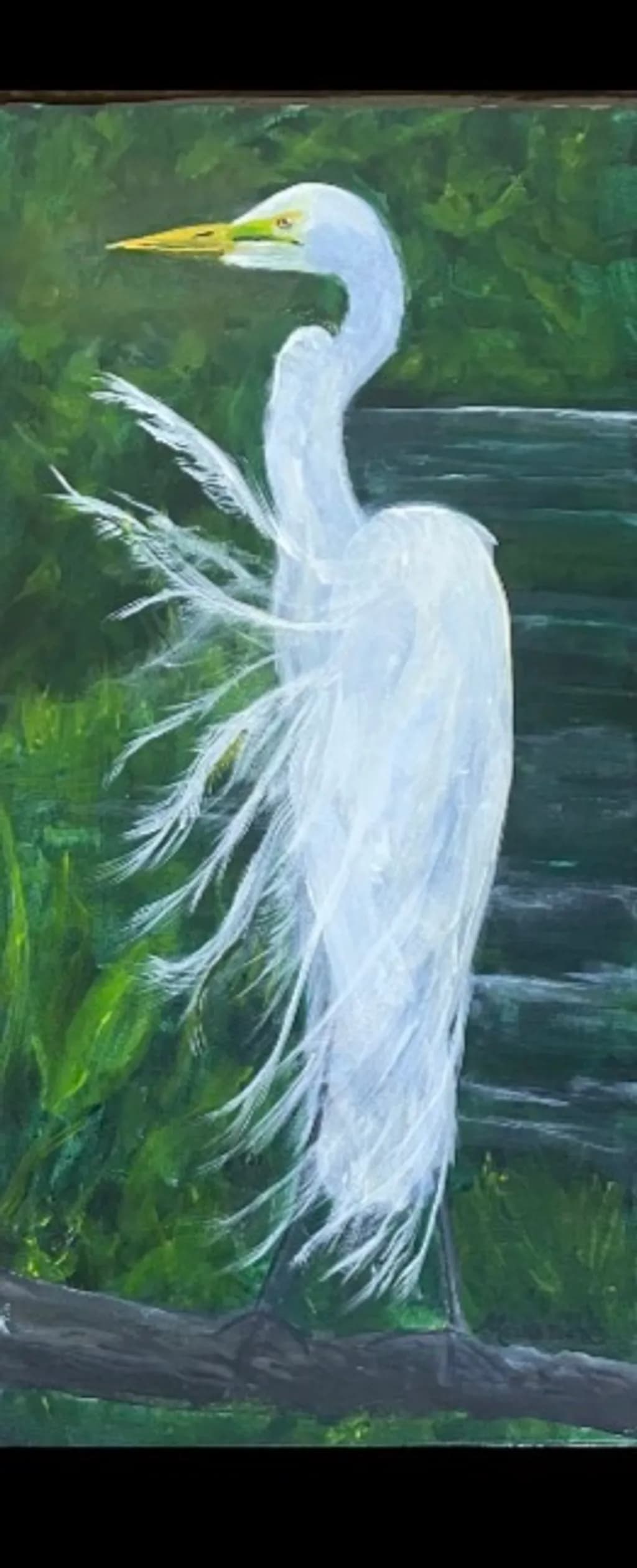 Feathered Grace