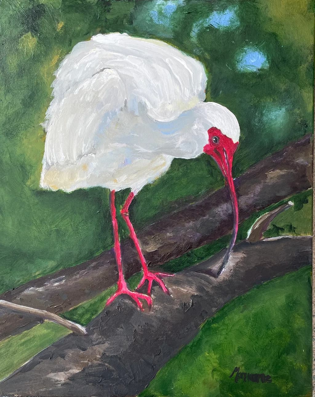 Crimson-Crested Ibis