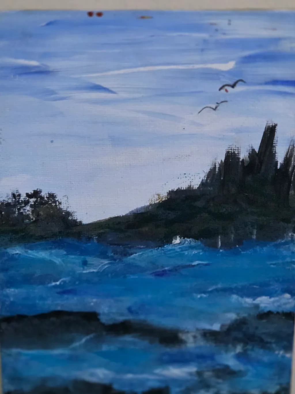 Dusk Coast Flight