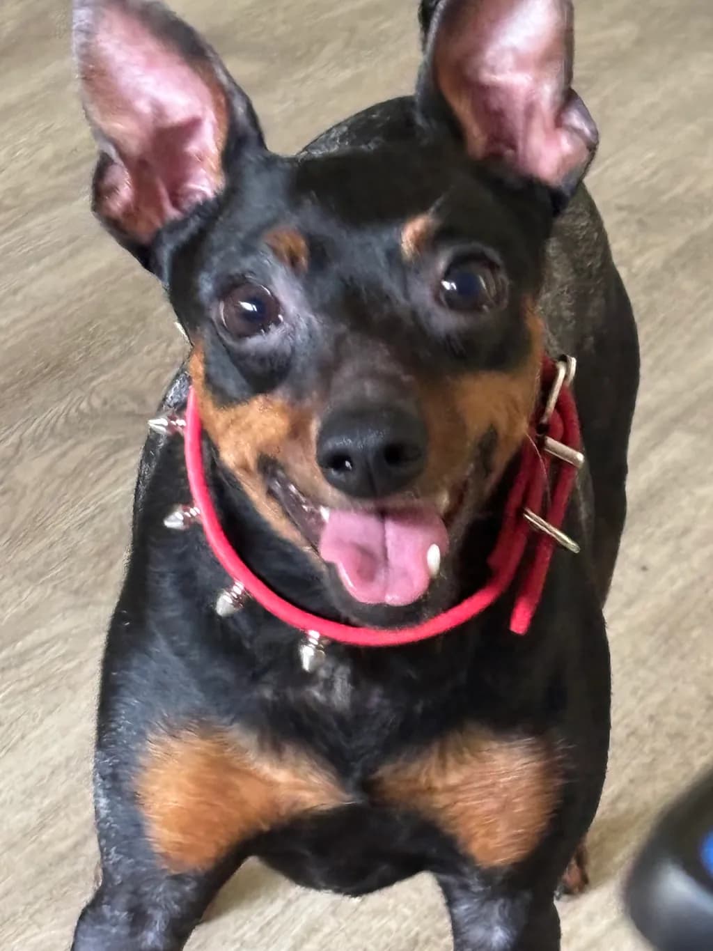 Eager Min Pin