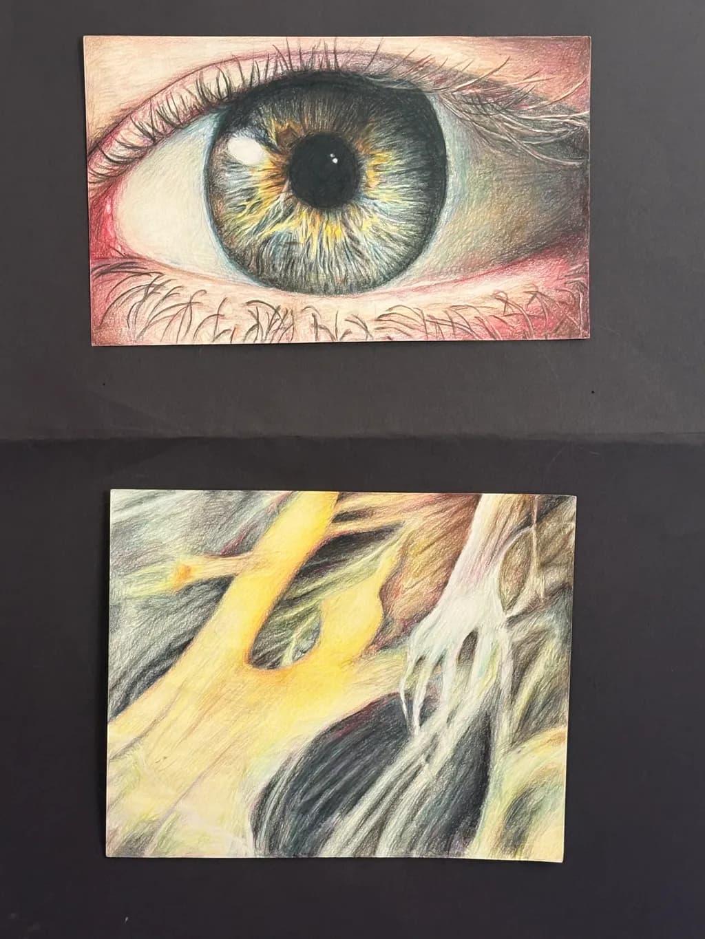 Iris Spectrum