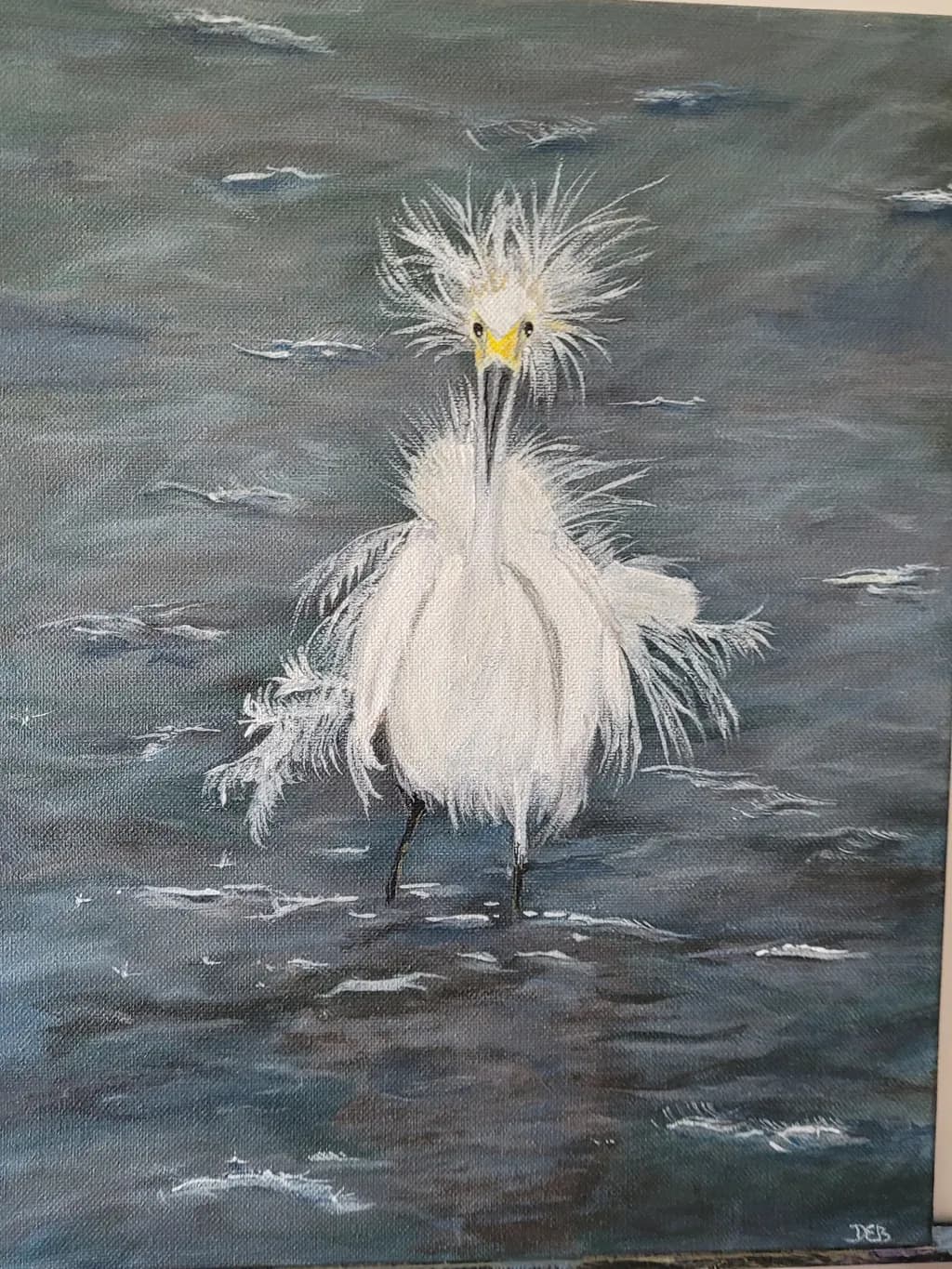 Frayed Feathers