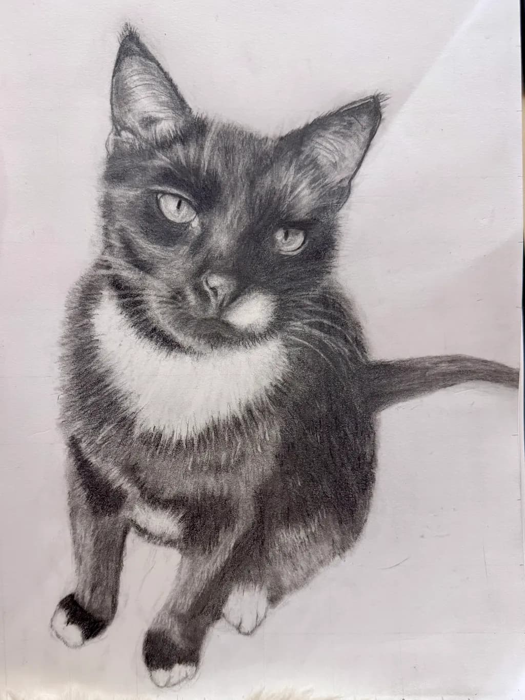 Alfie