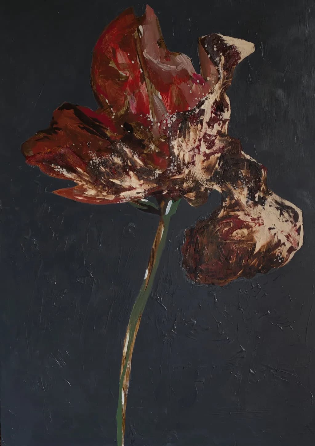 Fading Blossom