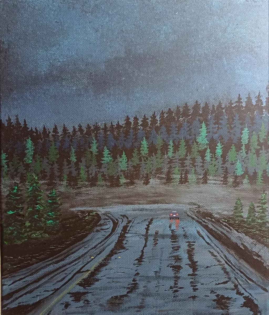 Rainy Night Drive