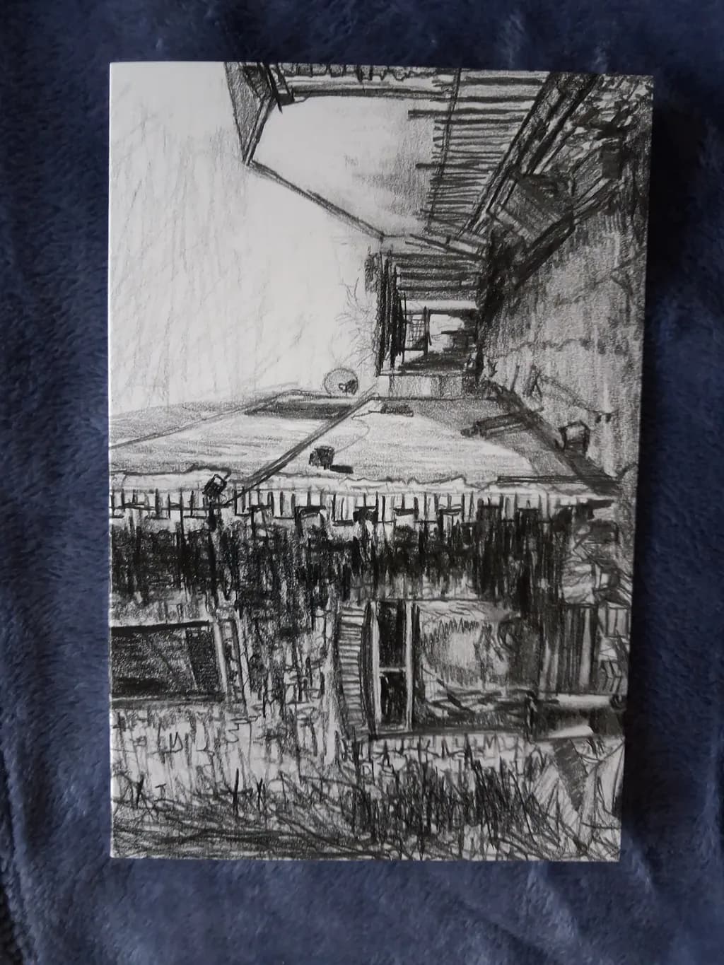 Urban Fence View