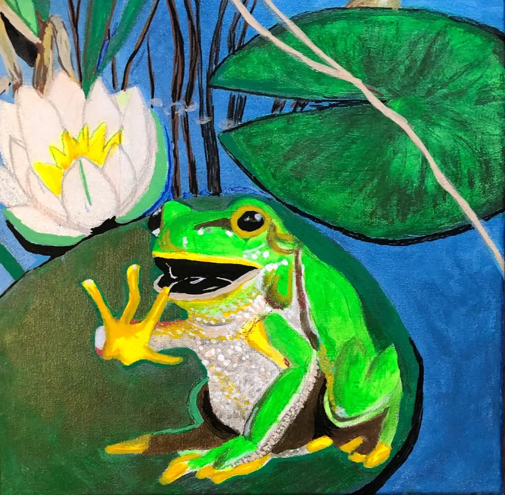 Frog on Lily Pad