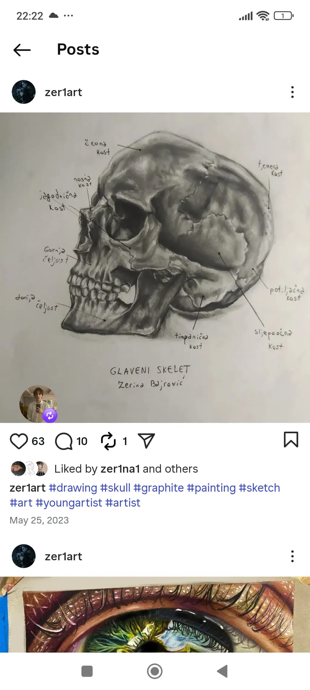 Glavjeni Skeleton Study