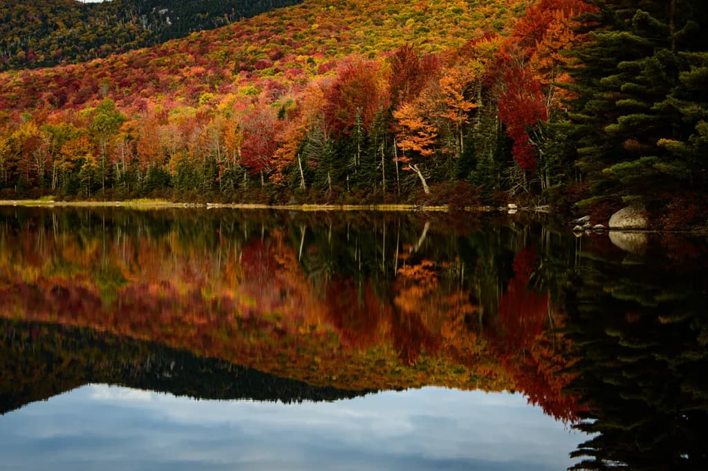 Autumn Mirror