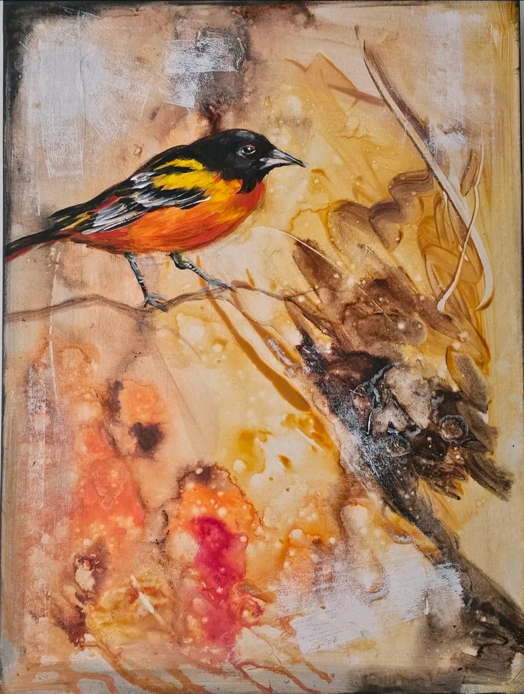 Oriole Glow