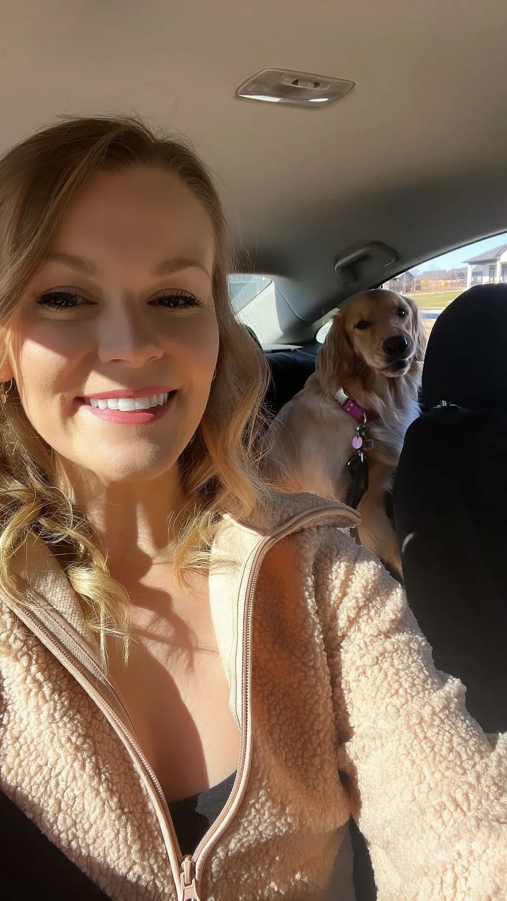 Sunny Drive Companions