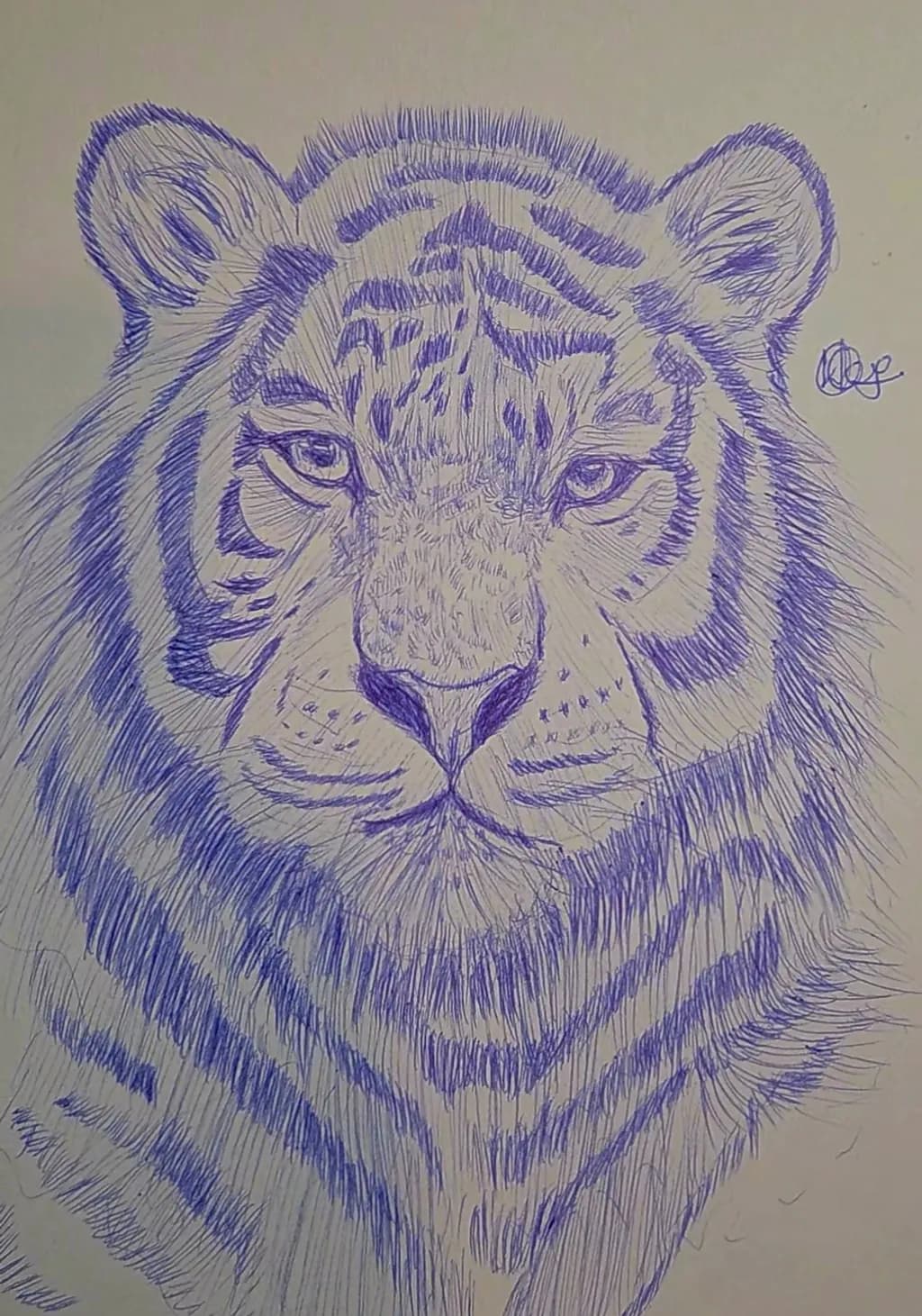 Ink Tiger Gaze