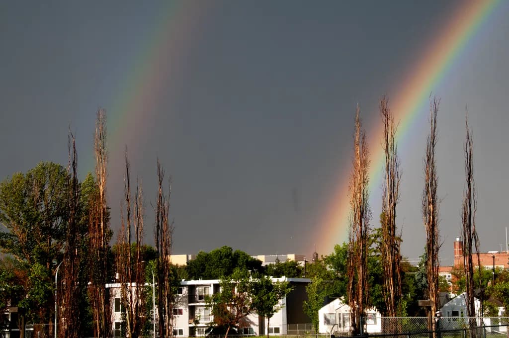 After the Storm