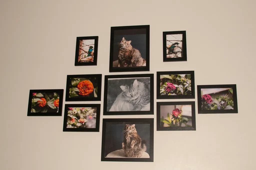 Pictures