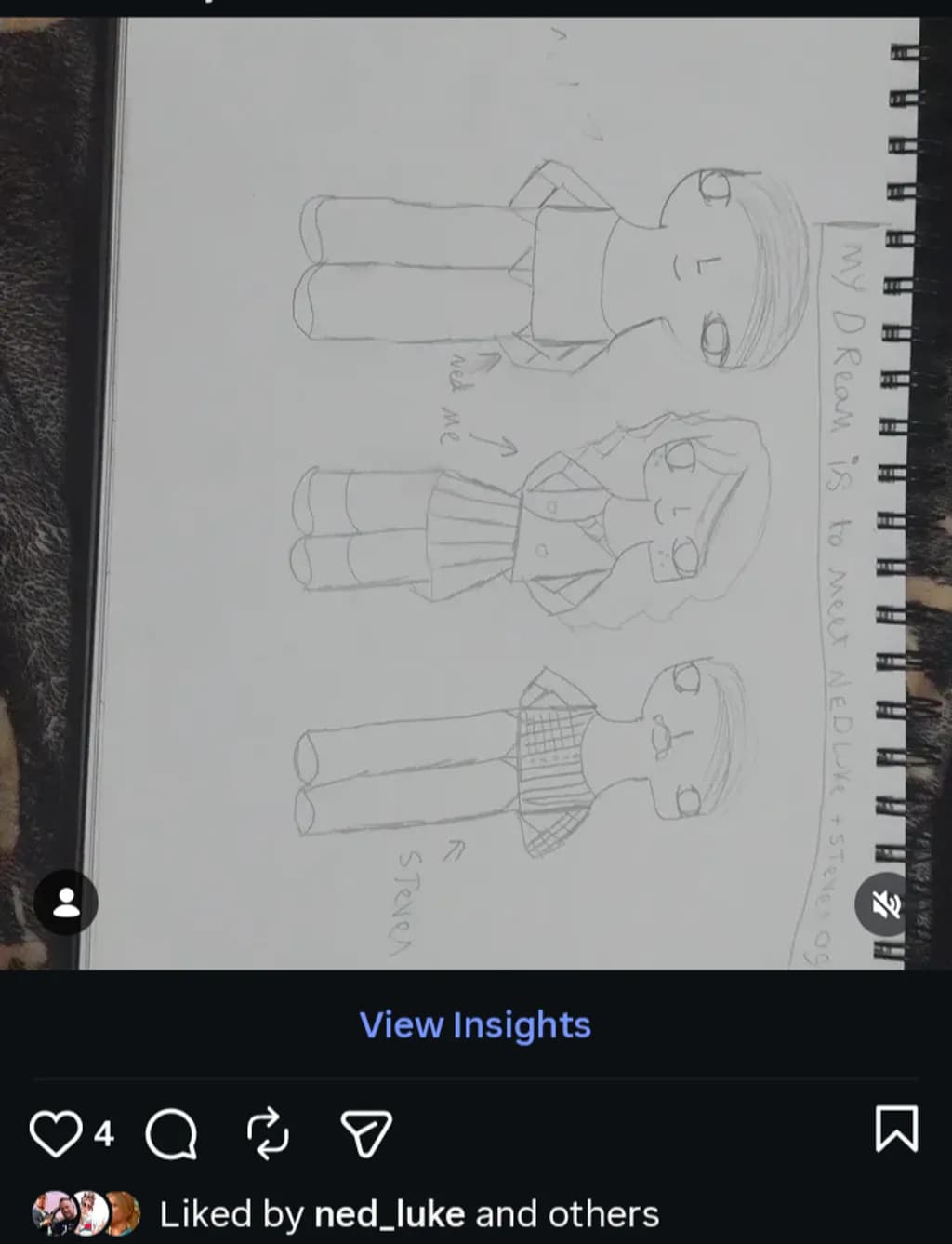 Dream Meeting Sketch