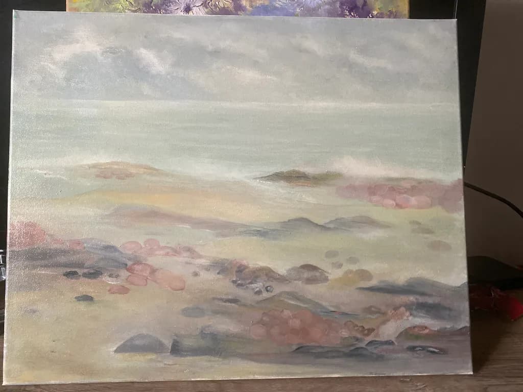 Foggy Coastal Rocks